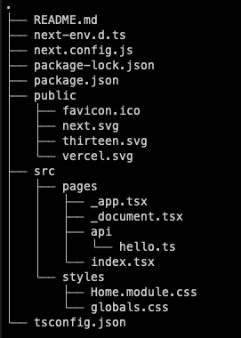 next.js  directories structure